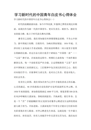 学习新时代的中国青年白皮书心得体会