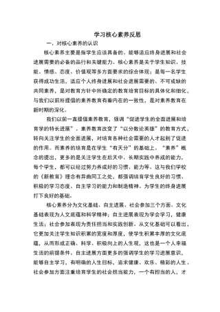 学习核心素养反思