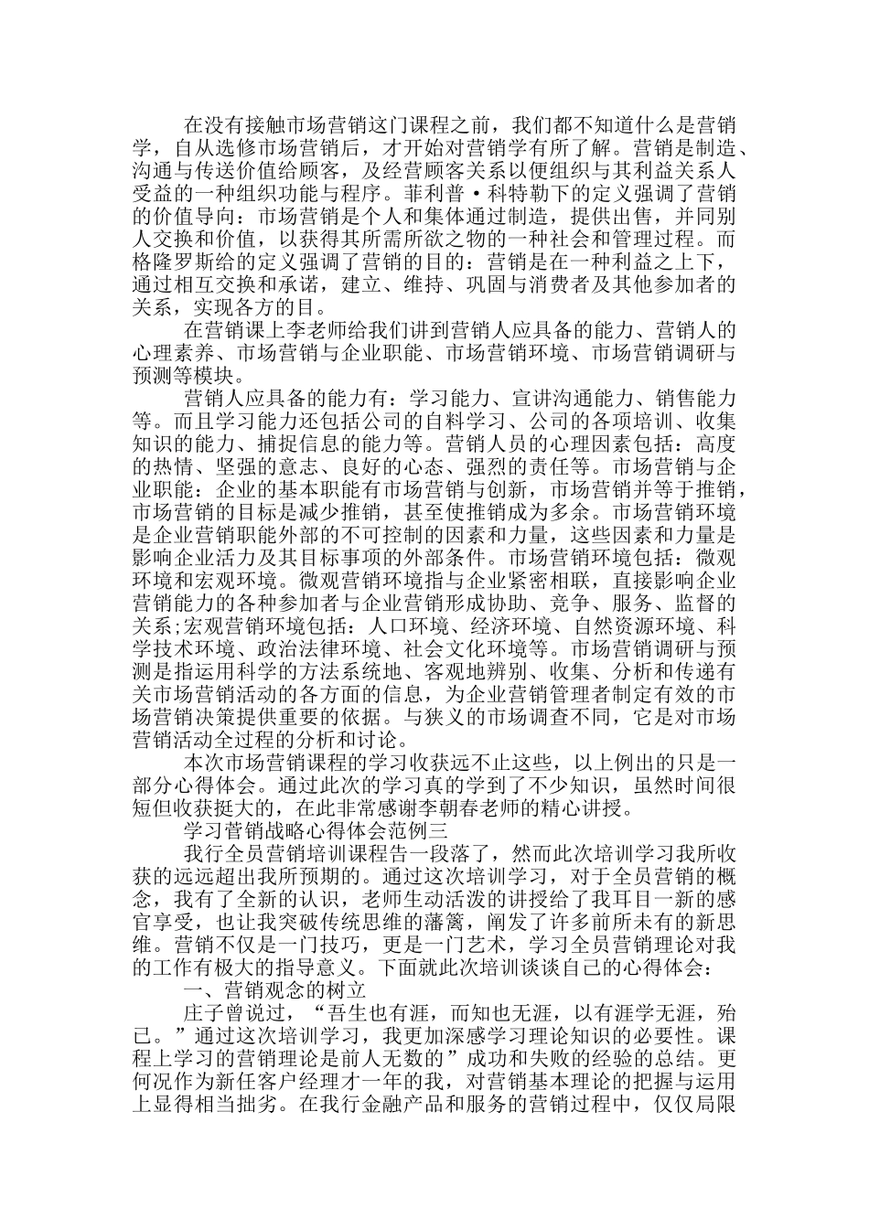 学习菅销战略心得体会范文_第3页