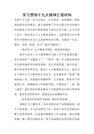 学习贯彻十九大精神汇报材料