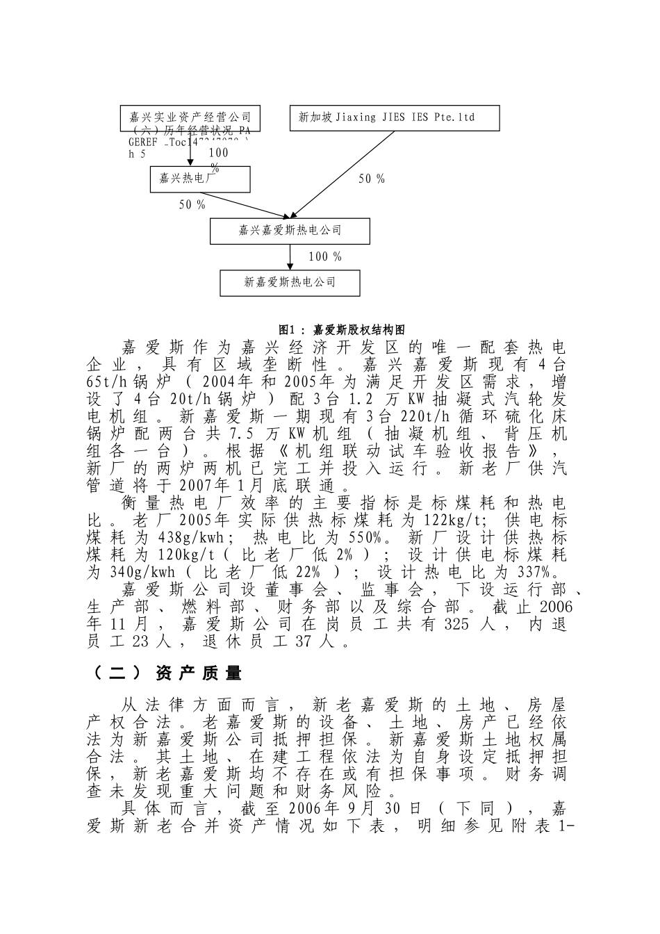 收购嘉兴嘉爱斯热电有限公司初步可行性分析报告_第2页