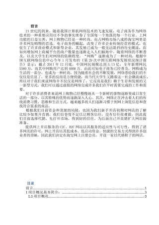 淘宝女鞋网店策划书