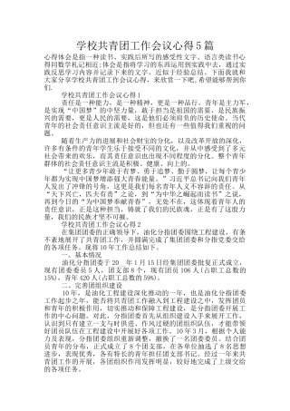 学校共青团工作会议心得5篇