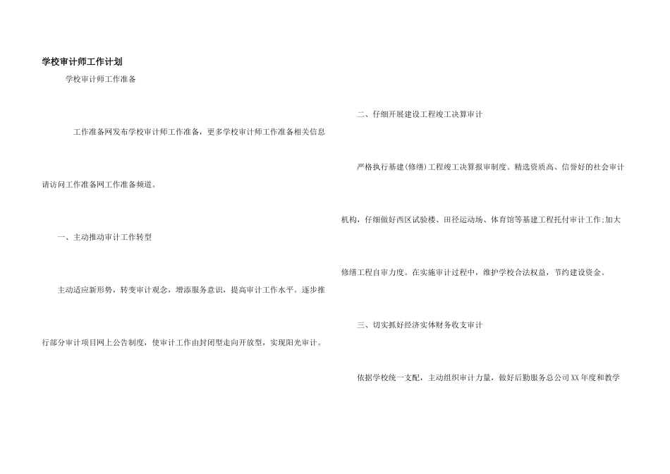 学校审计师工作计划_第1页