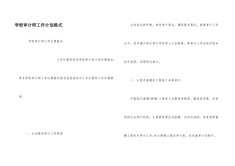 学校审计师工作计划格式_第1页