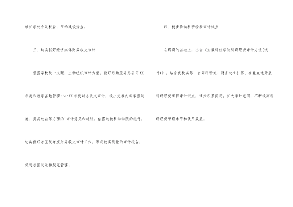 学校审计师工作计划格式_第2页