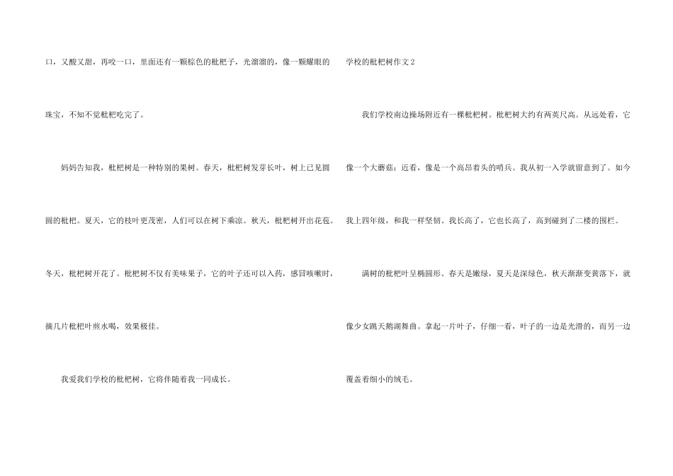 学校的枇杷树_第2页
