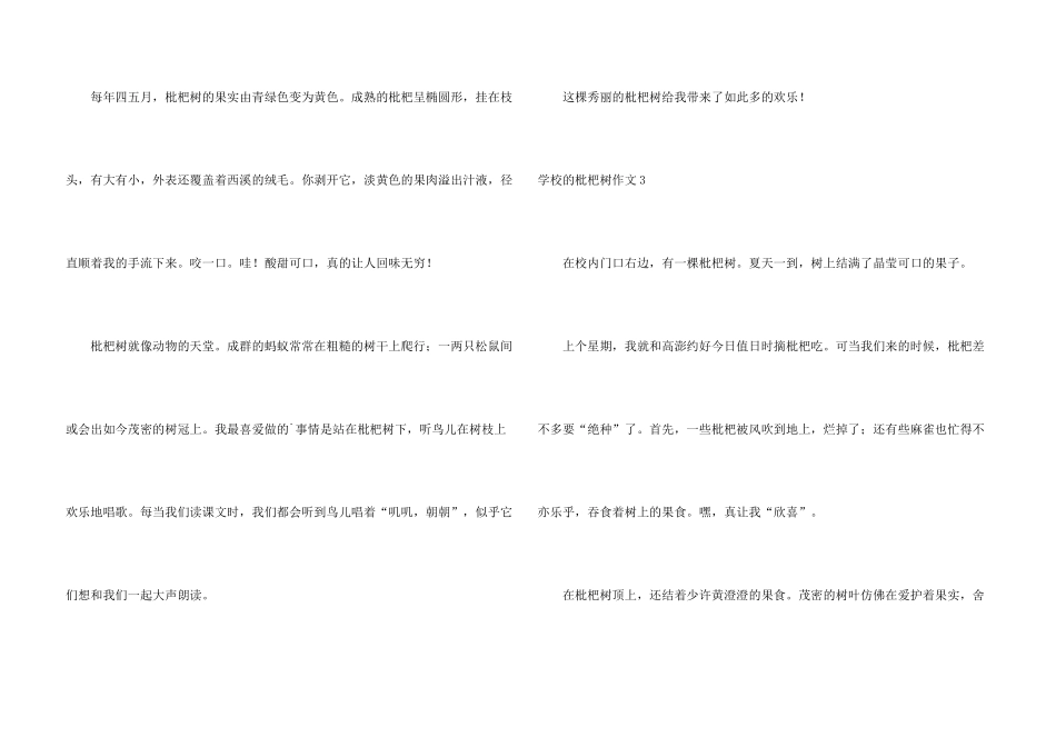 学校的枇杷树_第3页