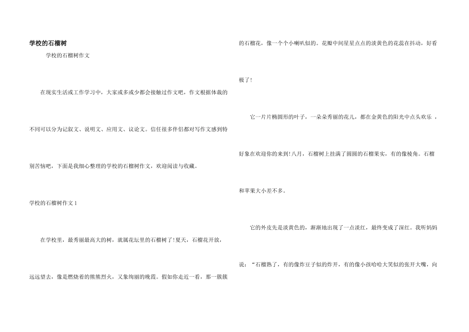 学校的石榴树_第1页
