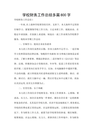 学校财务工作总结多篇800字