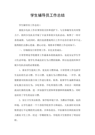 学生辅导员工作总结
