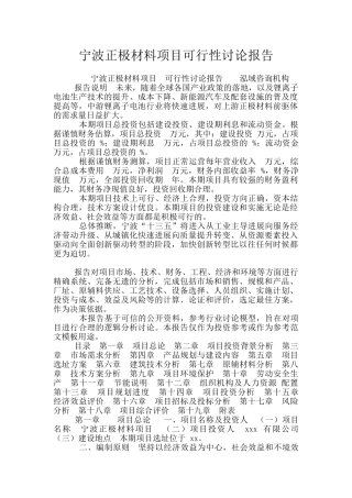 宁波正极材料项目可行性研究报告