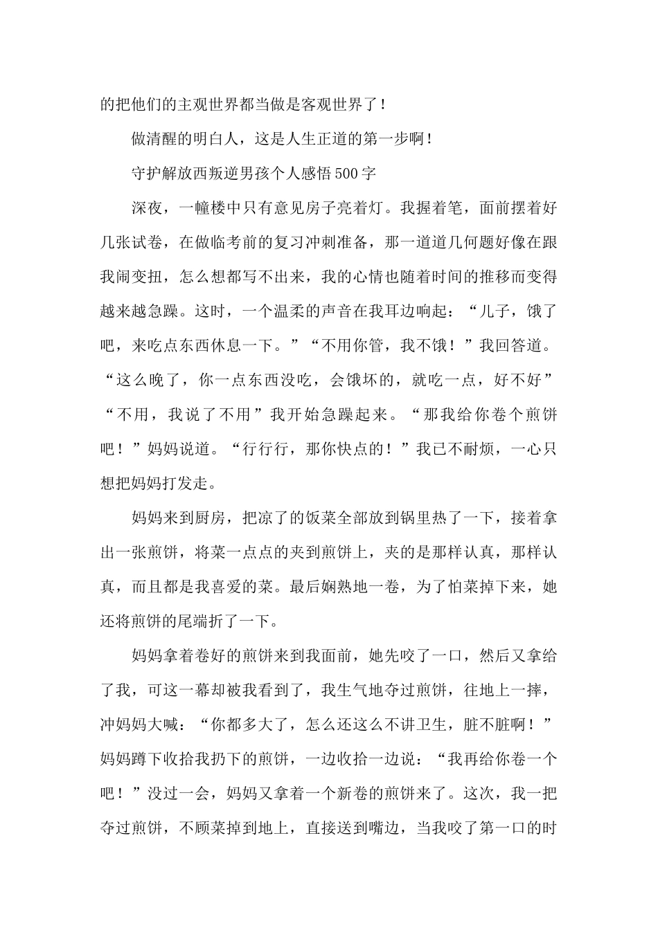 守护解放西叛逆男孩个人感悟500字_第3页