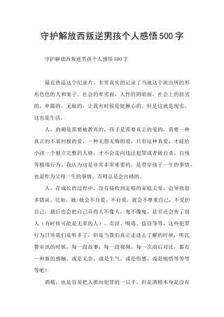 守护解放西叛逆男孩个人感悟500字