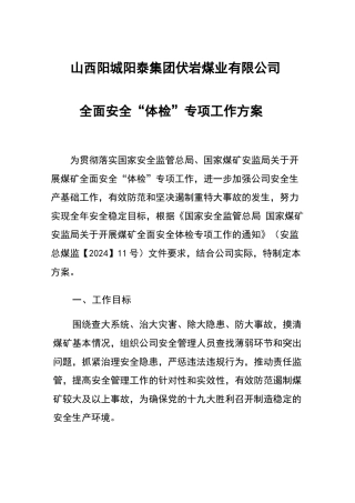 安全体检工作方案