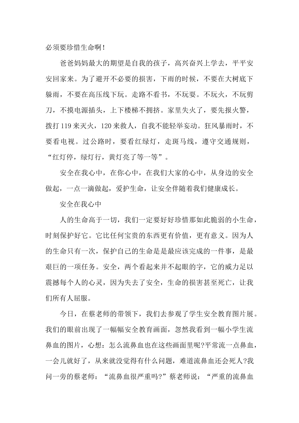 安全在我心中_第3页