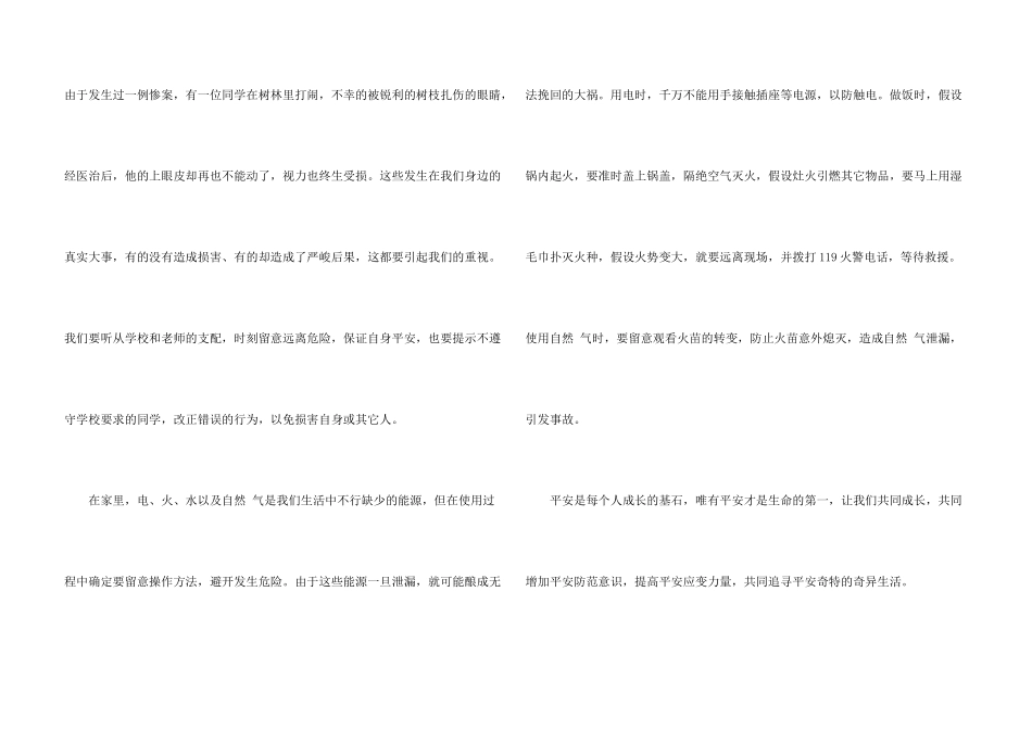 安全在我心中演讲稿八篇_第3页