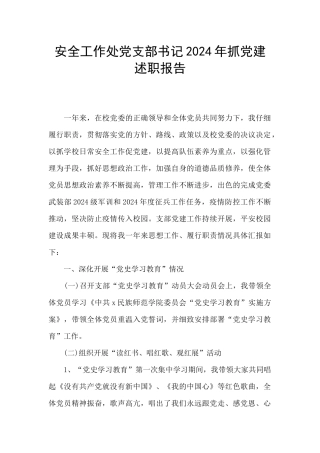 安全工作处党支部书记2024年抓党建述职报告