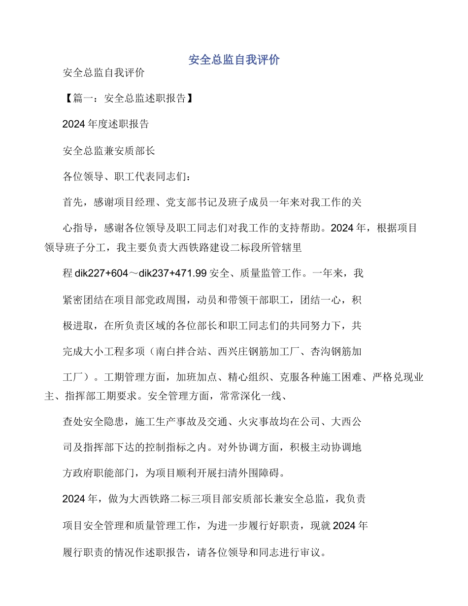 安全总监自我评价_第1页