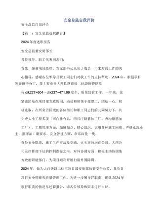 安全总监自我评价