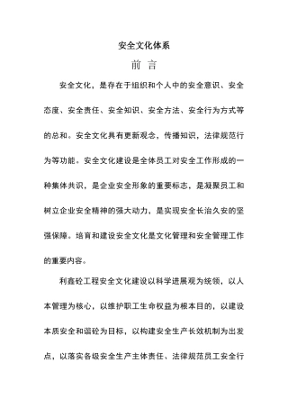 安全文化体系样本