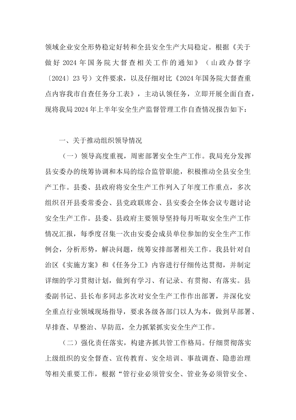 安全检查隐患项情况报告_第2页