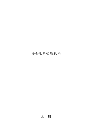 安全生产管理组织机构图