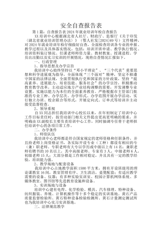 安全自查报告表
