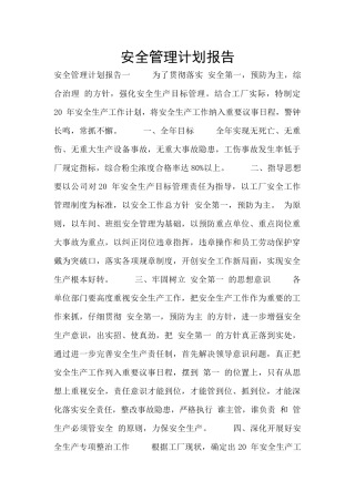 安全管理计划报告