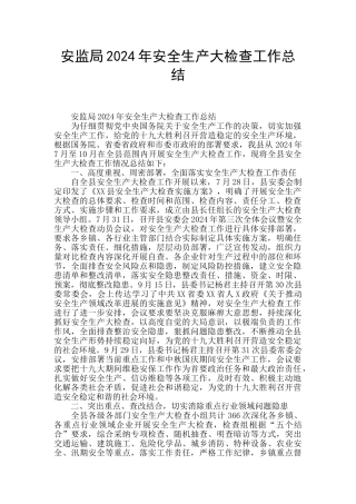 安监局2024年安全生产大检查工作总结