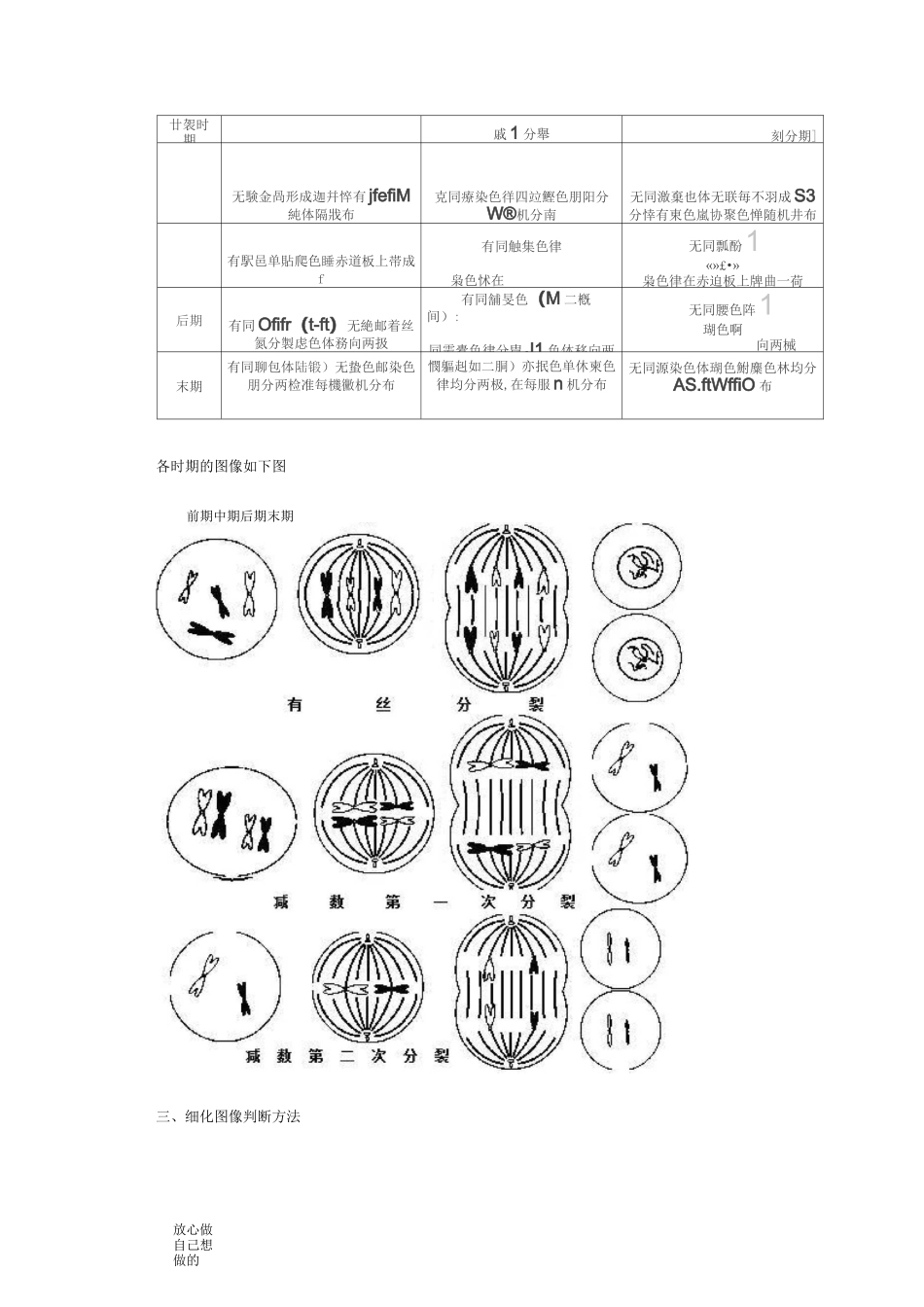 高中生物有丝分裂和减数分裂图解_第2页
