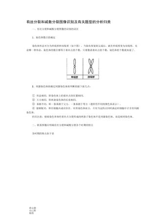 高中生物有丝分裂和减数分裂图解