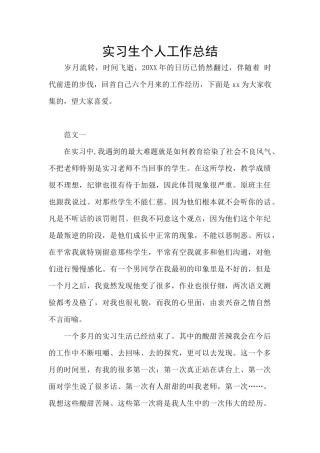 实习生个人工作总结