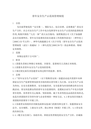 青年安全生产示范岗制度
