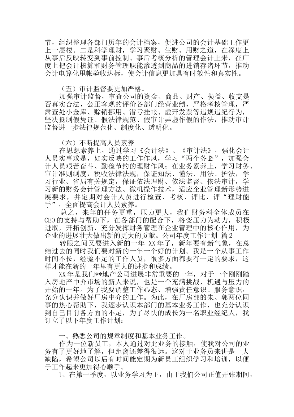 实用的公司年度工作计划五篇_第2页
