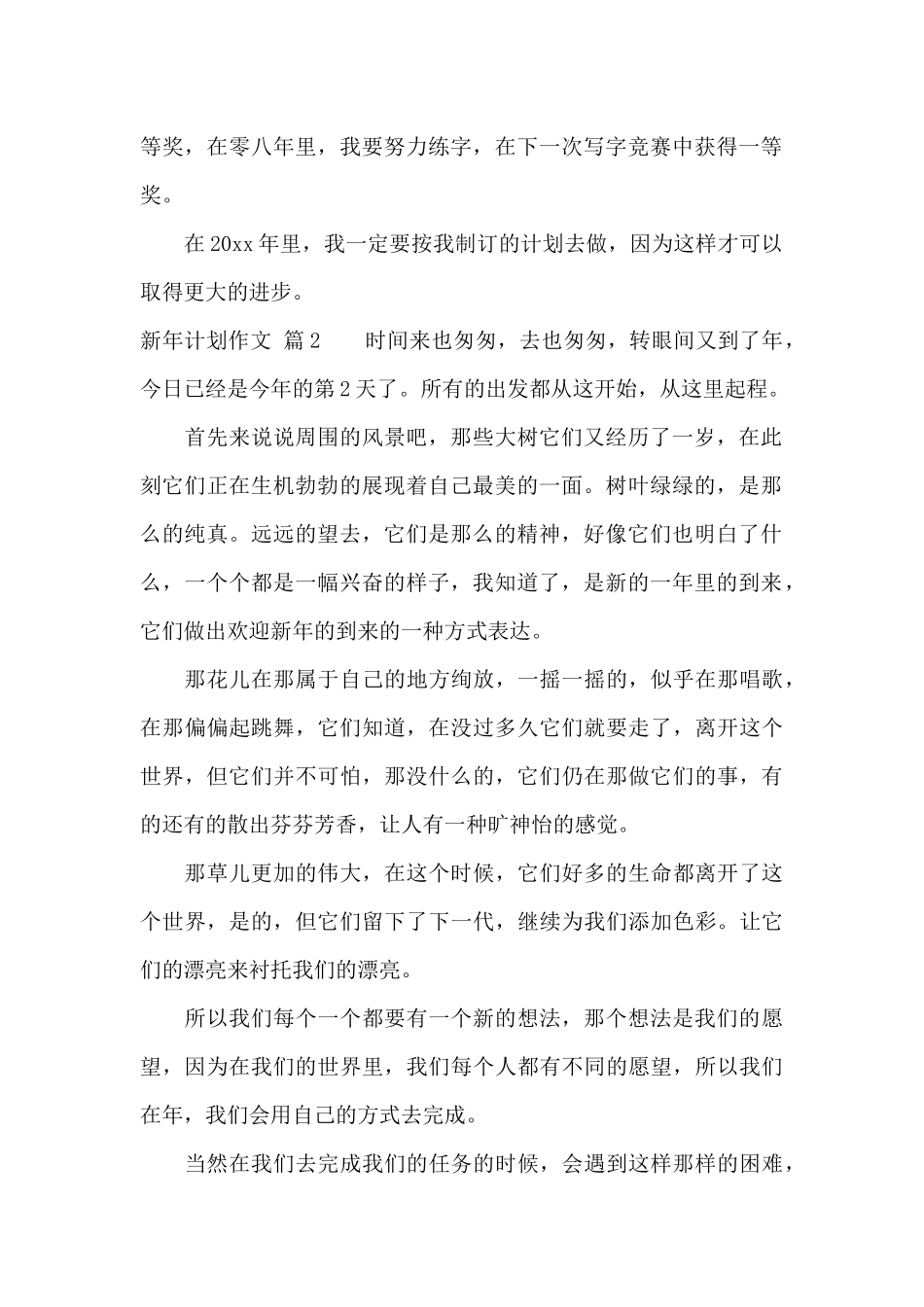 实用的新年计划作文集锦8篇_第2页