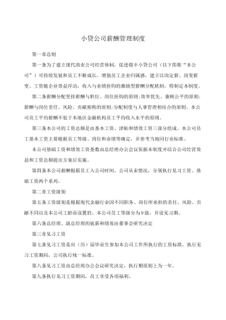 小贷公司薪酬管理制度