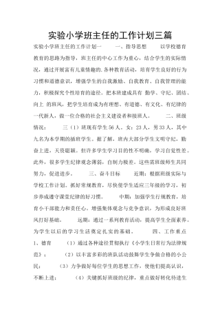 实验小学班主任的工作计划三篇