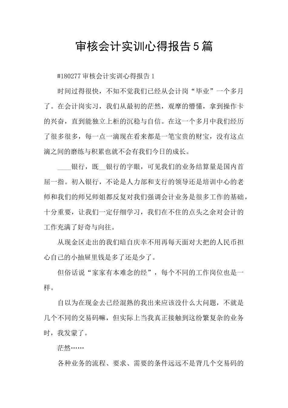 审核会计实训心得报告5篇_第1页