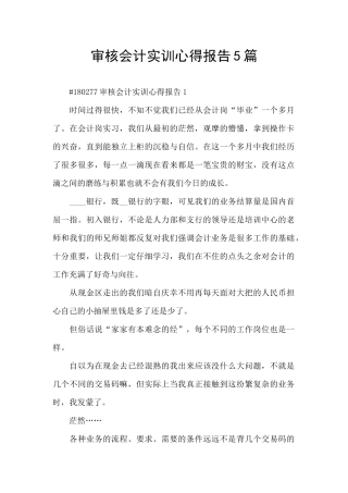 审核会计实训心得报告5篇