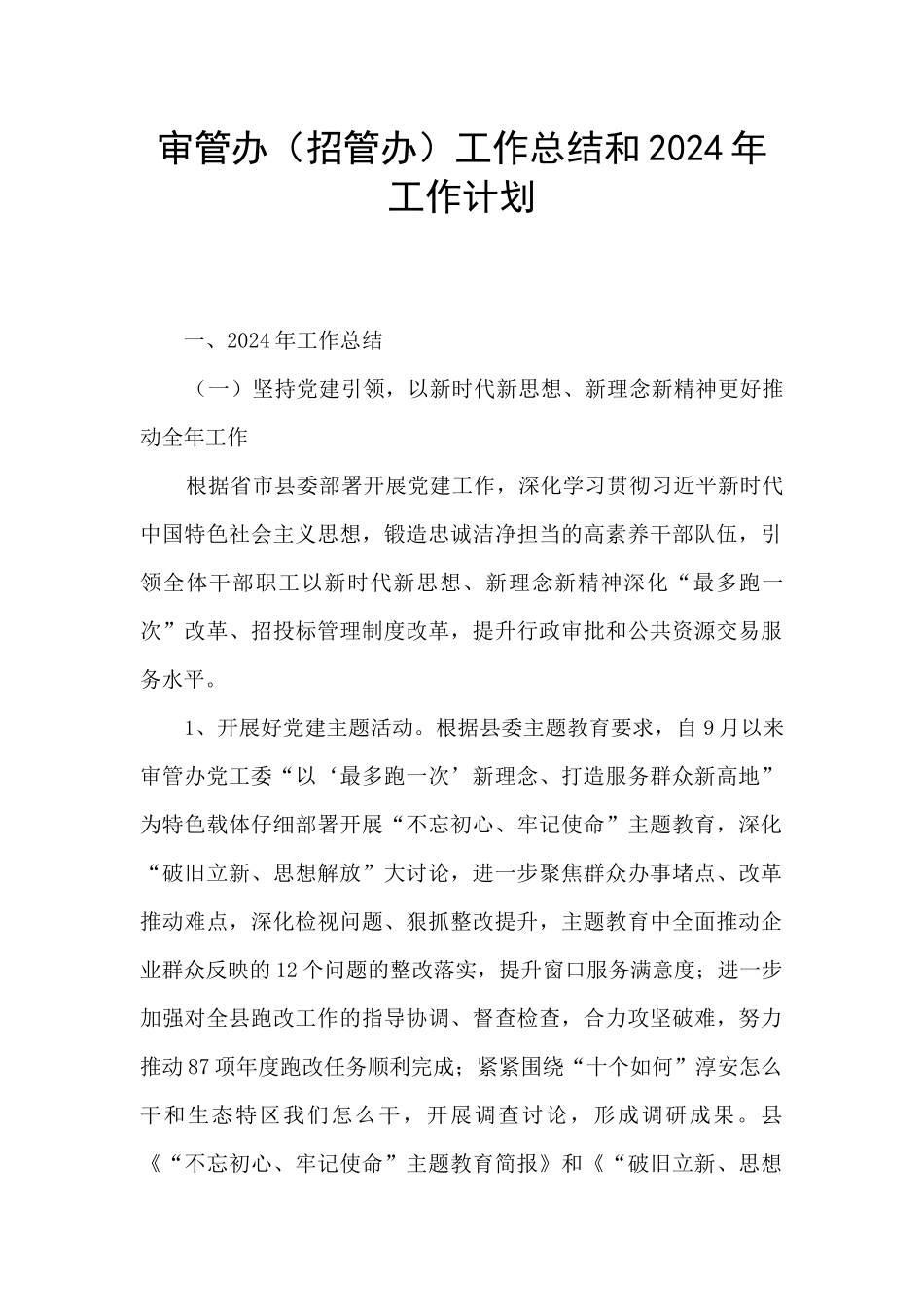 审管办工作总结和2024年工作计划_第1页