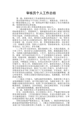 审核员个人工作总结