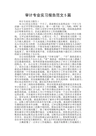 审计专业实习报告范文5篇