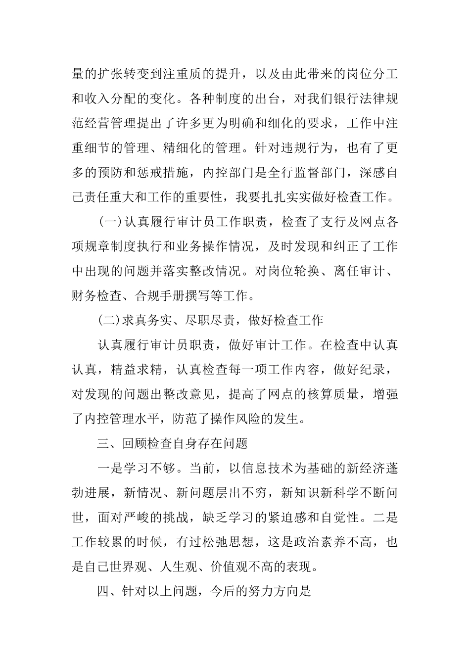 审计个人年终工作总结_第2页