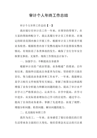 审计个人年终工作总结