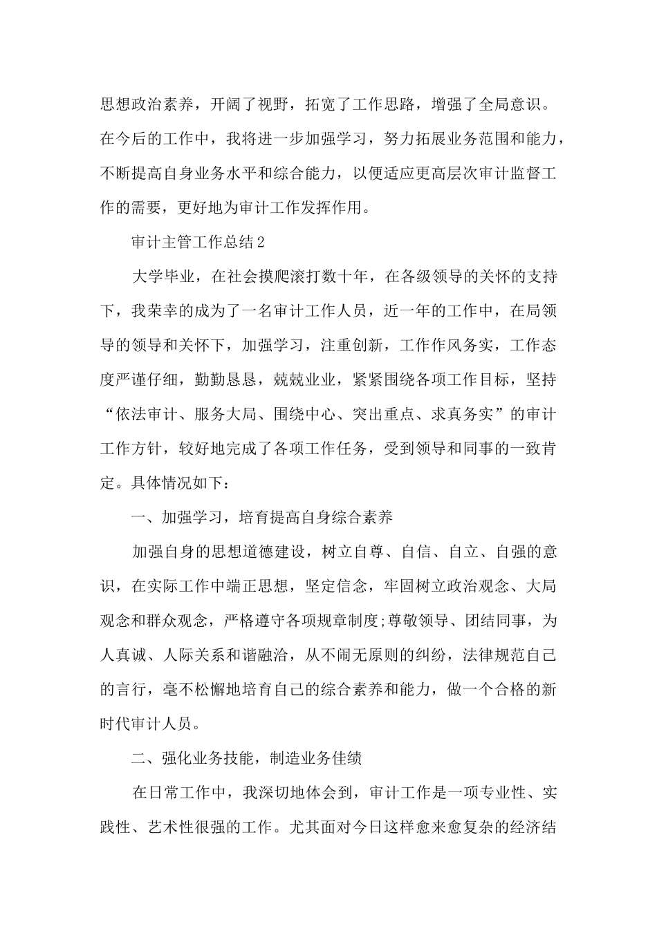 审计主管工作总结5篇_第3页