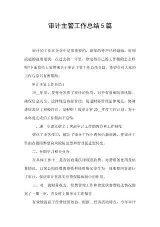 审计主管工作总结5篇
