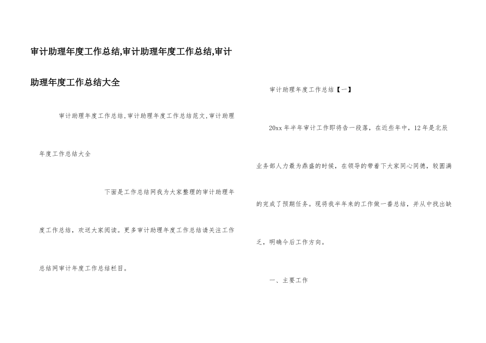 审计助理年度工作总结_第1页