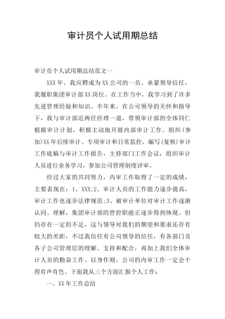 审计员个人试用期总结