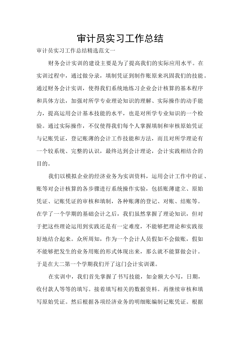 审计员实习工作总结_第1页